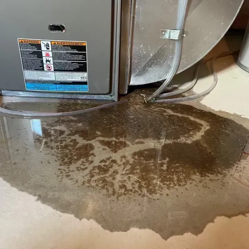 Appliance Leak Cleanup in Grundy County, MO